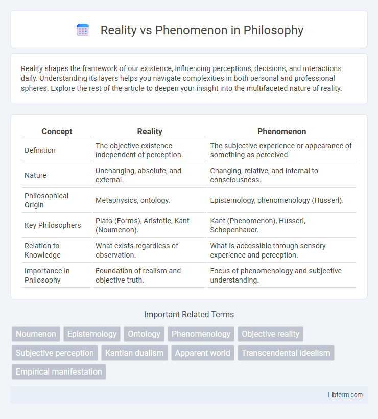 Phenomenon vs Reality in Philosophy - What is The Difference?