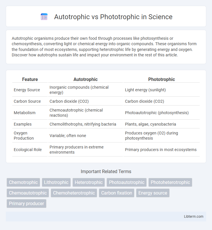 Phototrophic vs Autotrophic in Science - What is The Difference?
