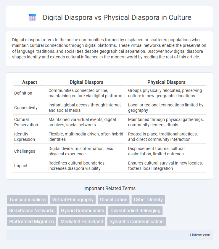 Physical Diaspora vs Digital Diaspora in Culture - What is The Difference?