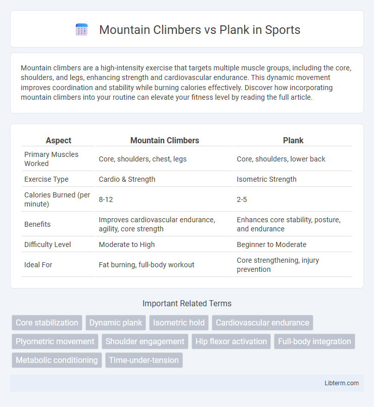 Plank vs Mountain Climbers in Sports - What is The Difference?