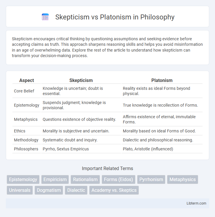 Platonism vs Skepticism in Philosophy - What is The Difference?