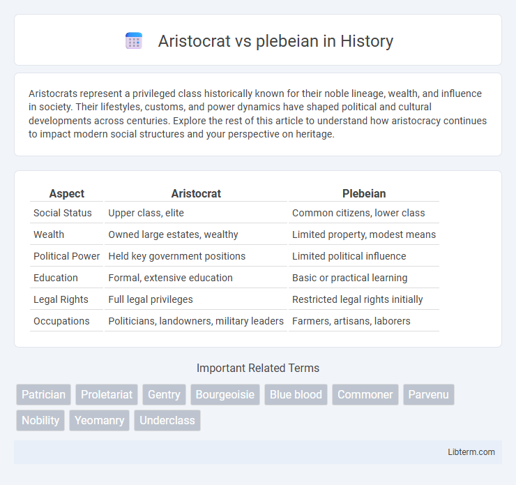 plebeian vs Aristocrat in History - What is The Difference?