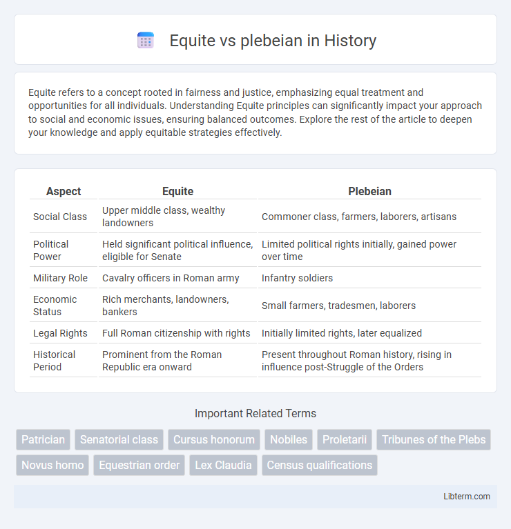 plebeian vs Equite in History - What is The Difference?