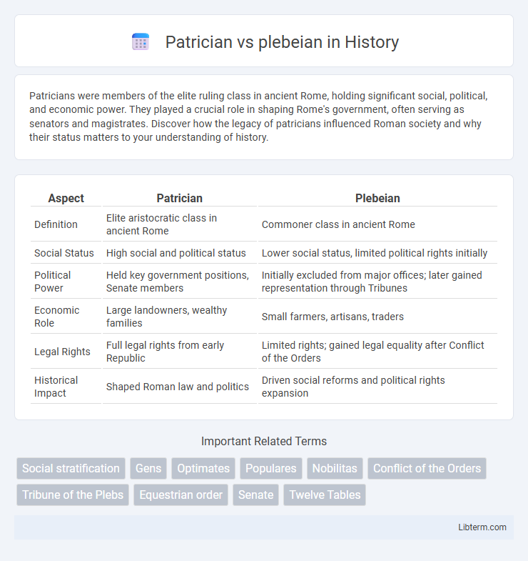 plebeian vs Patrician in History - What is The Difference?