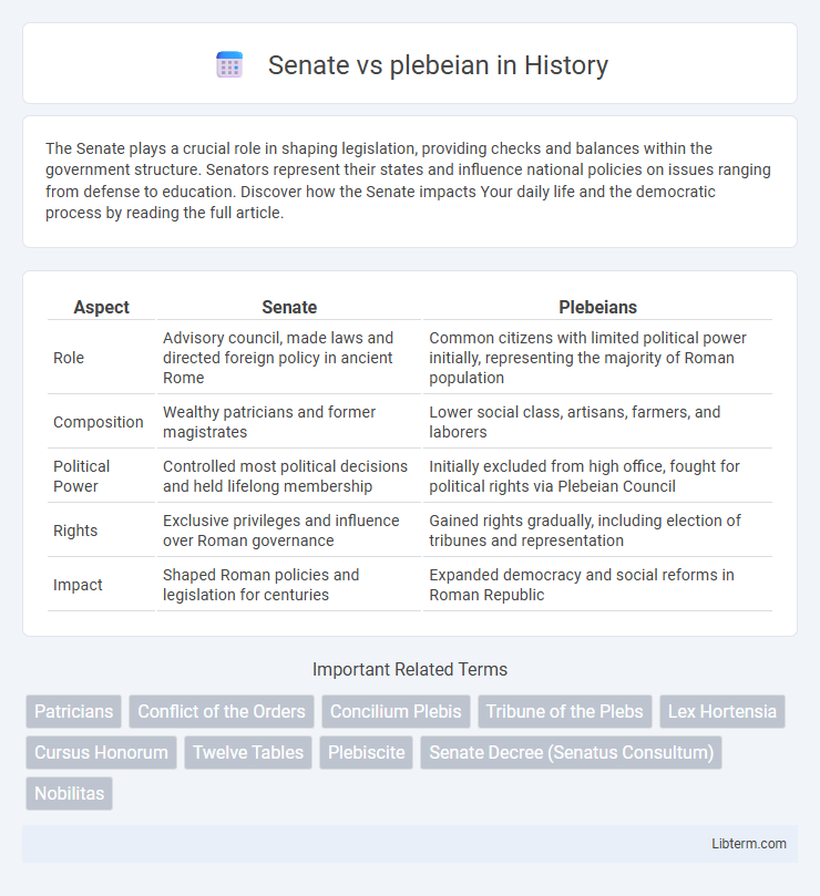 plebeian vs Senate in History - What is The Difference?