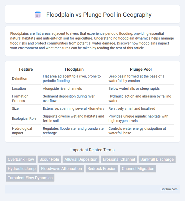 Plunge Pool vs Floodplain in Geography - What is The Difference?