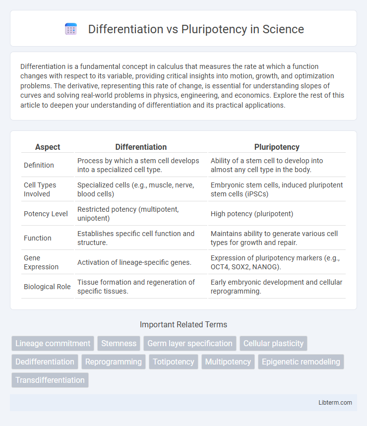 Pluripotency vs Differentiation in Science - What is The Difference?