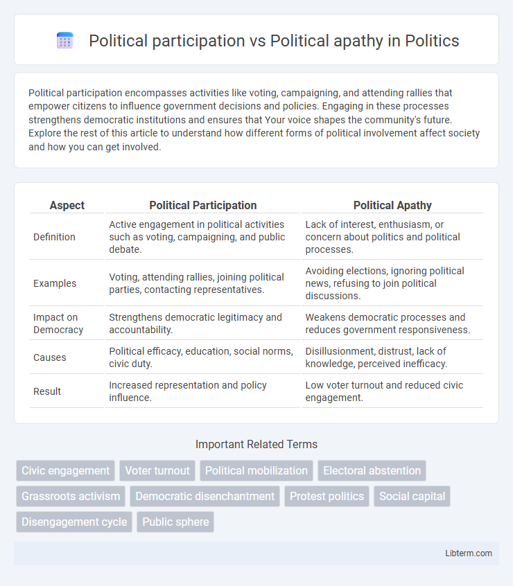 Political apathy vs Political participation in Politics - What is The Difference?