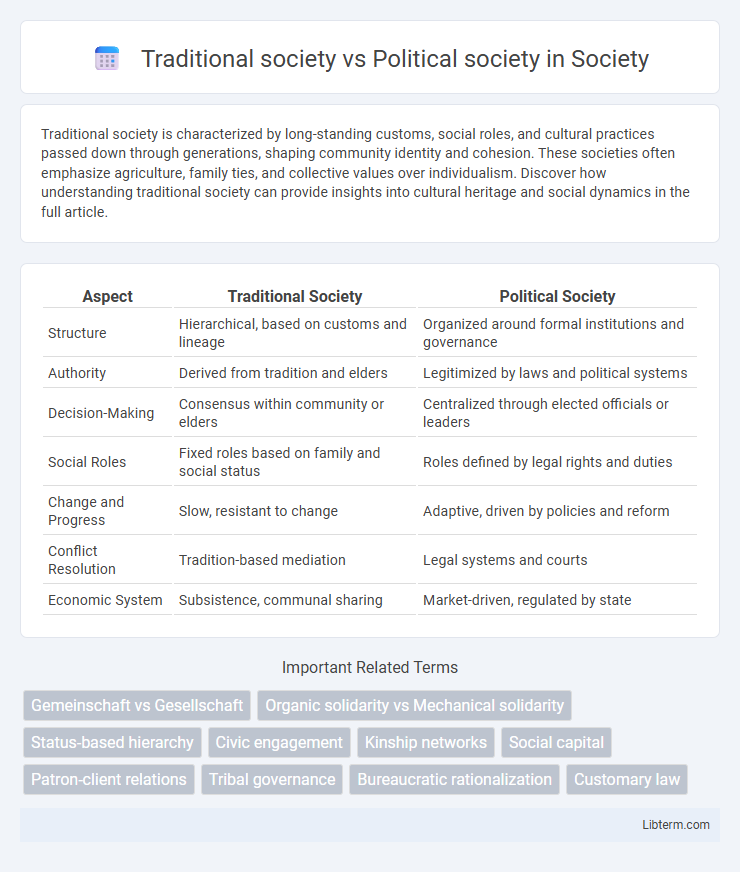 Political society vs Traditional society in Society - What is The Difference?