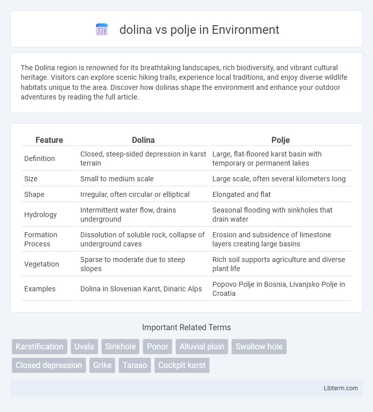 polje vs dolina in Environment - What is The Difference?