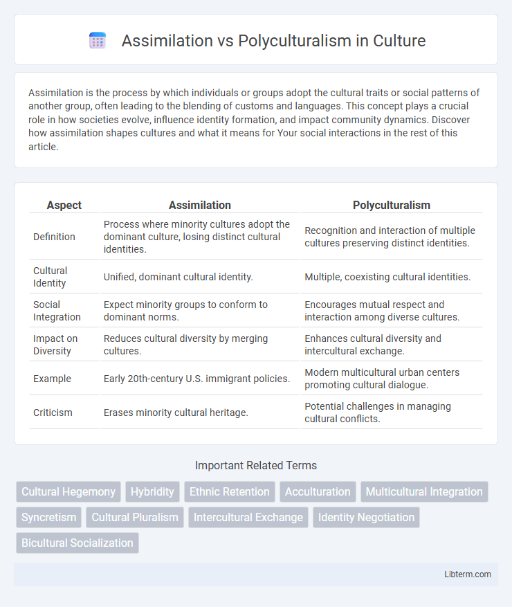 Polyculturalism vs Assimilation in Culture - What is The Difference?