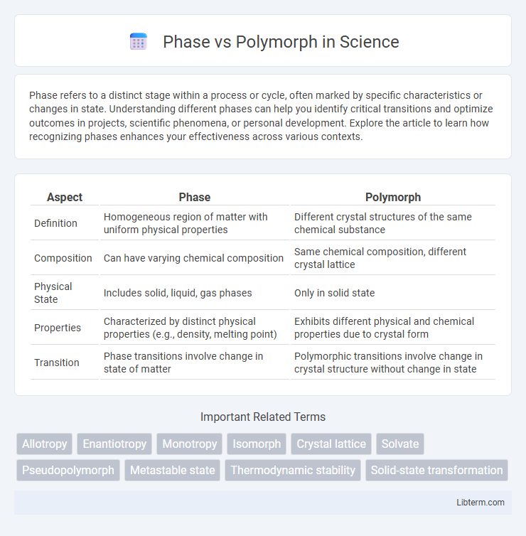 Polymorph vs Phase in Science - What is The Difference?