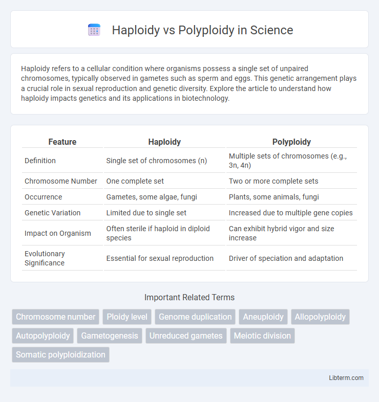 Polyploidy vs Haploidy in Science - What is The Difference?