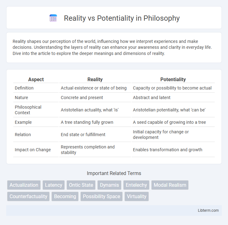 Potentiality vs Reality in Philosophy - What is The Difference?