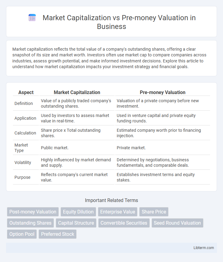 Pre-money Valuation vs Market Capitalization in Business - What is The Difference?