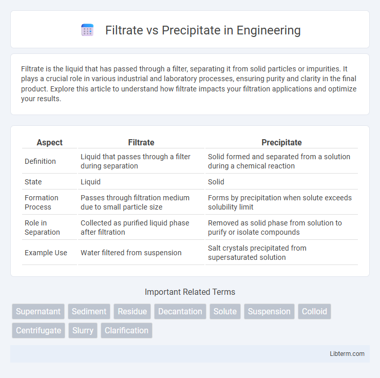 Precipitate vs Filtrate in Engineering - What is The Difference?
