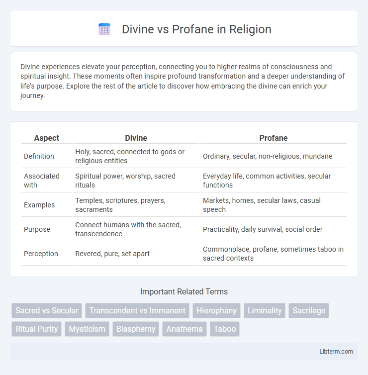 Profane vs Divine in Religion - What is The Difference?