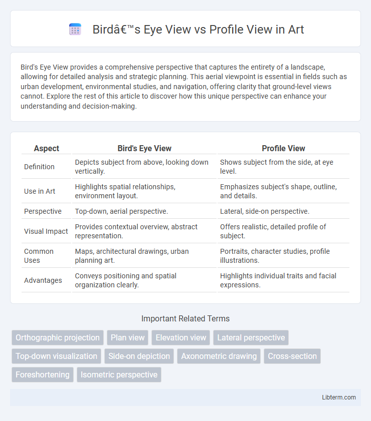 Profile View vs Bird’s Eye View in Art - What is The Difference?