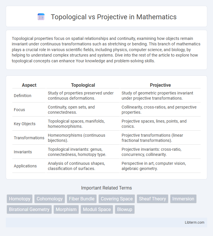 Projective vs Topological in Mathematics - What is The Difference?