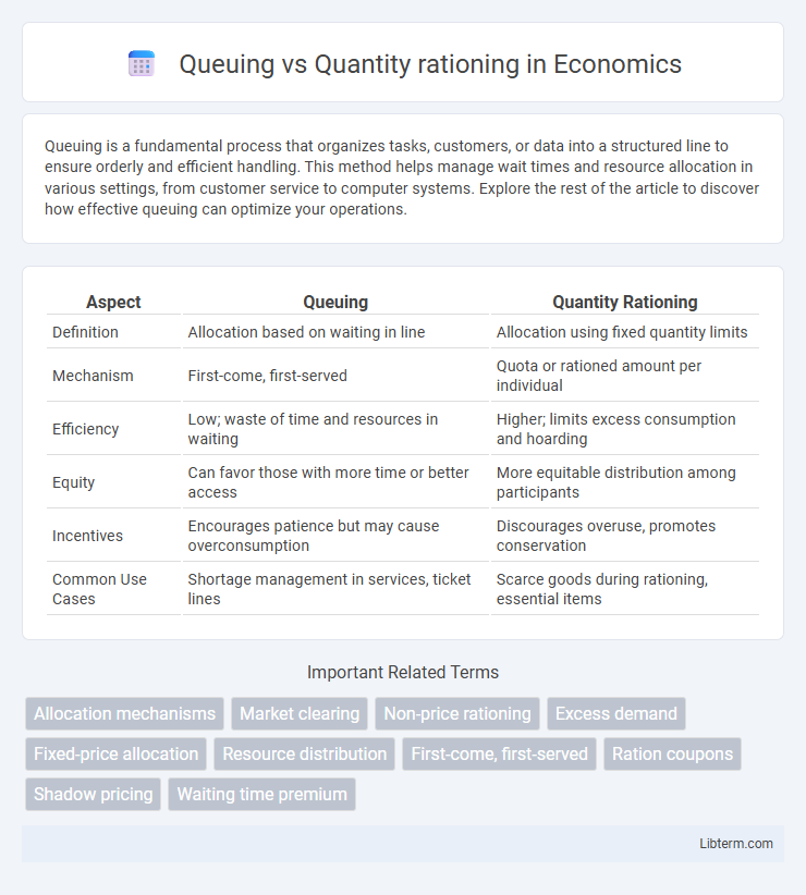 Quantity rationing vs Queuing in Economics - What is The Difference?