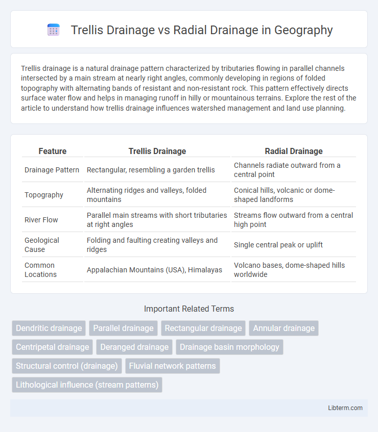 Radial Drainage vs Trellis Drainage in Geography - What is The Difference?