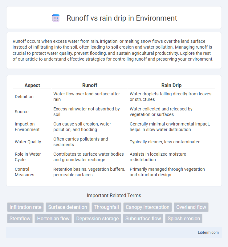 rain drip vs Runoff in Environment - What is The Difference?