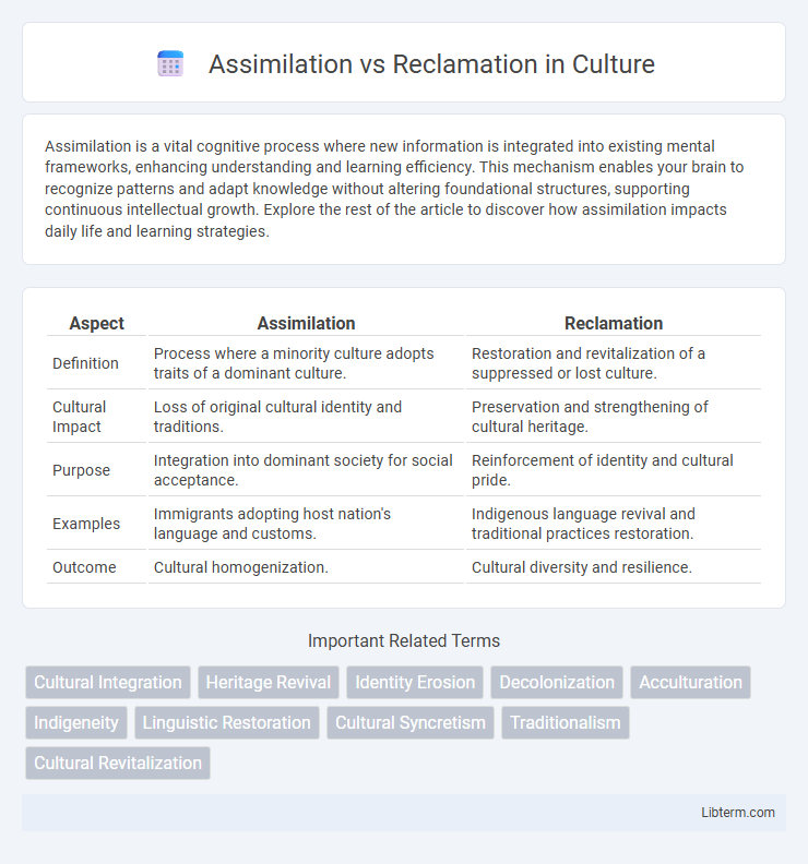 Reclamation vs Assimilation in Culture - What is The Difference?