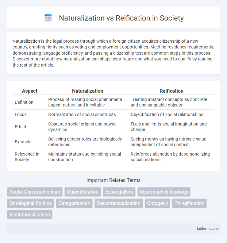 Reification vs Naturalization in Society - What is The Difference?