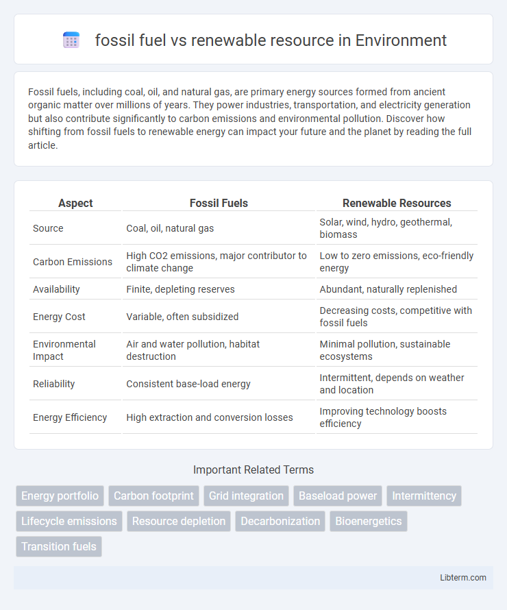 renewable resource vs fossil fuel in Environment - What is The Difference?