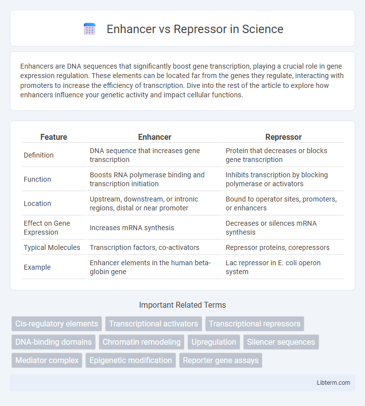 Repressor vs Enhancer in Science - What is The Difference?