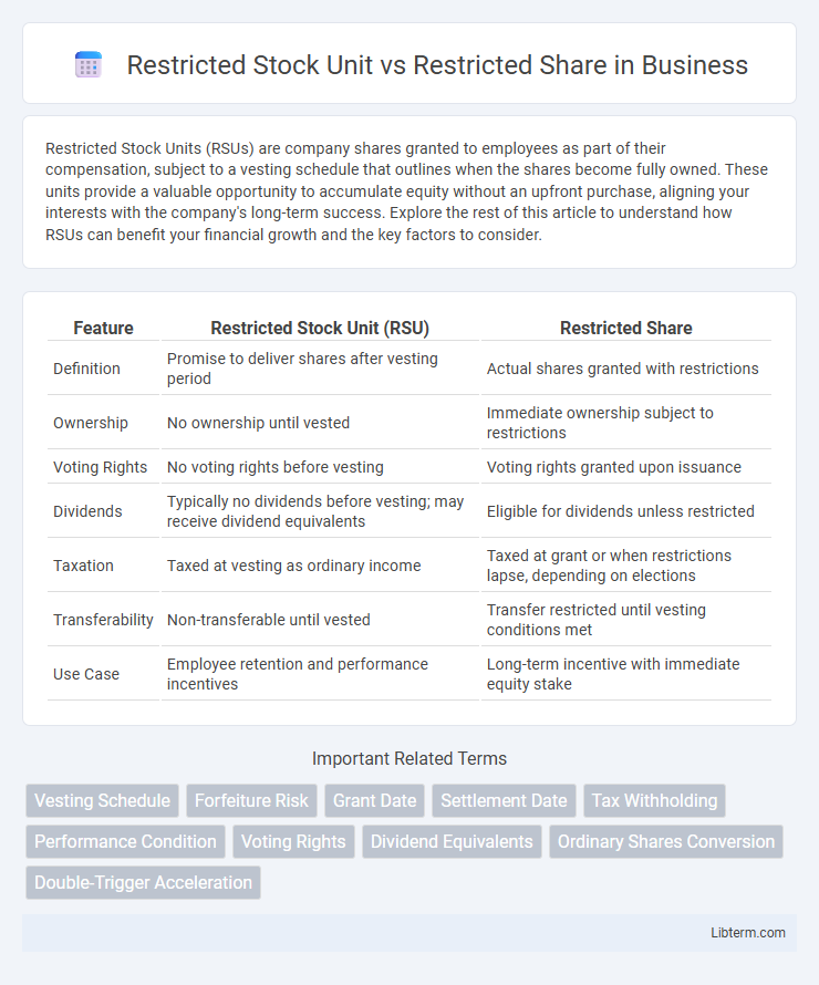 Restricted Share vs Restricted Stock Unit in Business - What is The Difference?