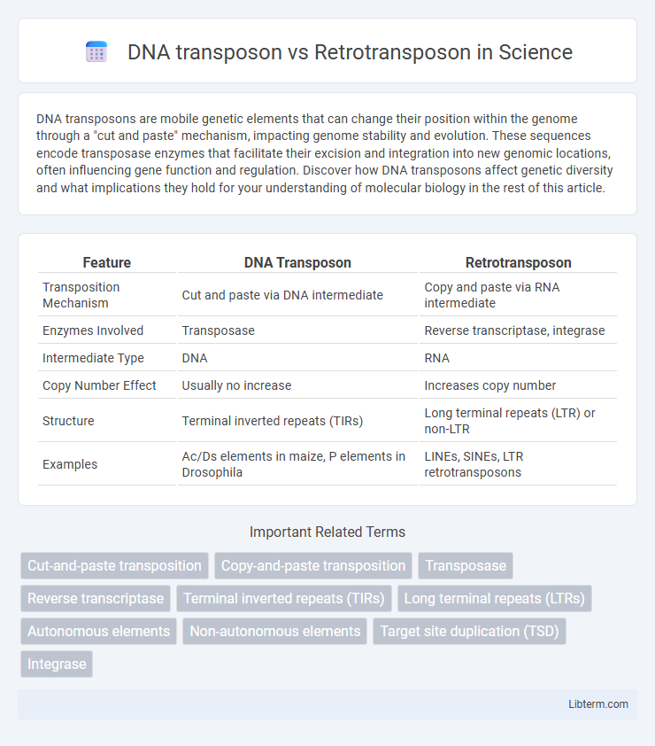 Retrotransposon vs DNA transposon in Science - What is The Difference?