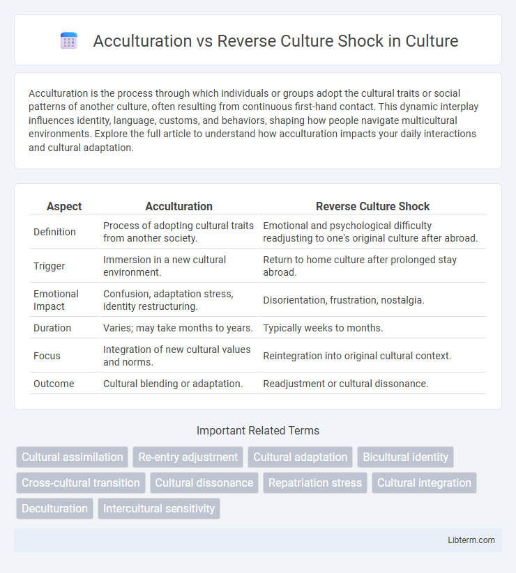 Reverse Culture Shock vs Acculturation in Culture - What is The Difference?