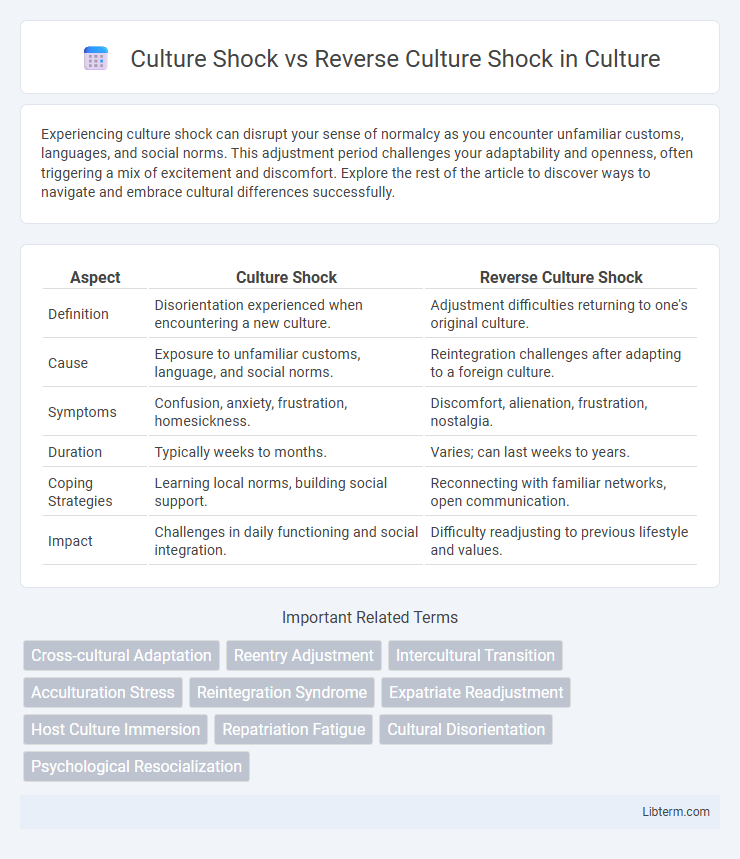 Reverse Culture Shock vs Culture Shock in Culture - What is The Difference?