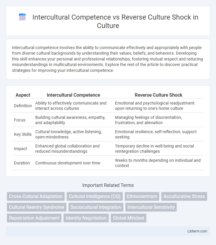 Reverse Culture Shock vs Intercultural Competence in Culture - What is The Difference?