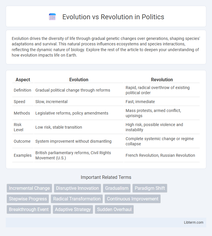 Revolution vs Evolution in Politics - What is The Difference?