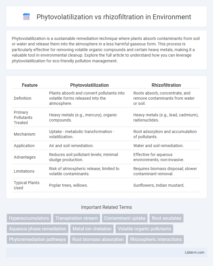 rhizofiltration vs Phytovolatilization in Environment - What is The Difference?