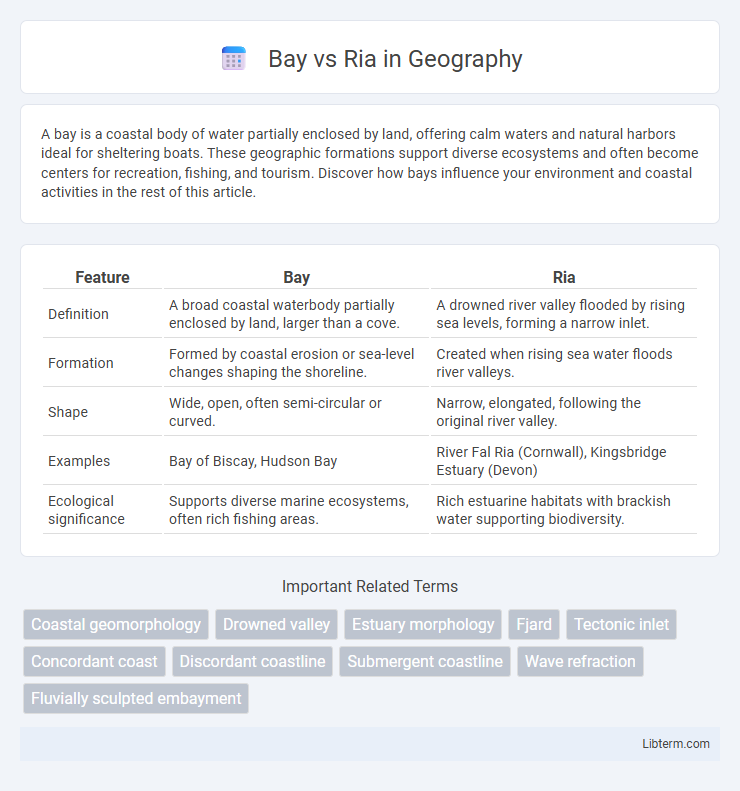 Ria vs Bay in Geography - What is The Difference?