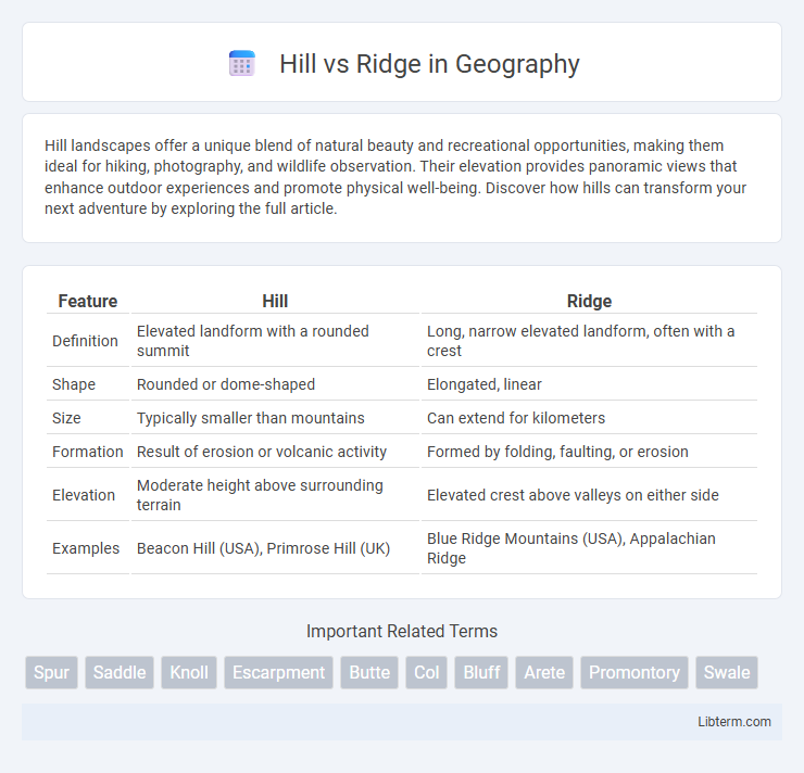 Ridge vs Hill in Geography - What is The Difference?