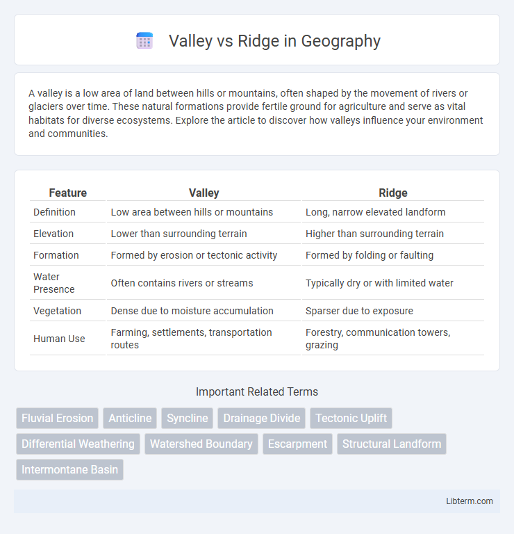 Ridge vs Valley in Geography - What is The Difference?