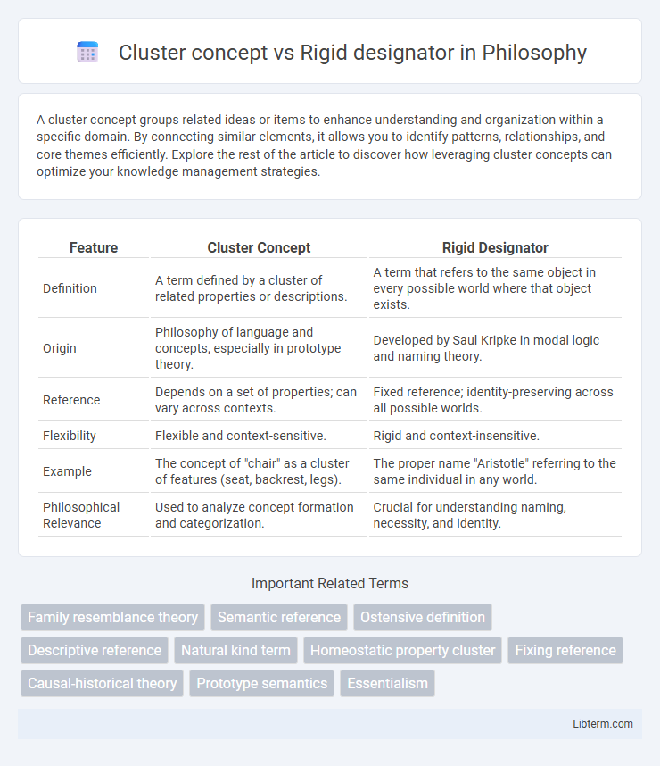 Rigid designator vs Cluster concept in Philosophy - What is The Difference?