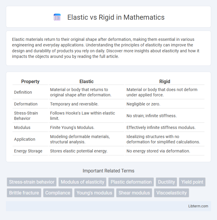 Rigid vs Elastic in Mathematics - What is The Difference?