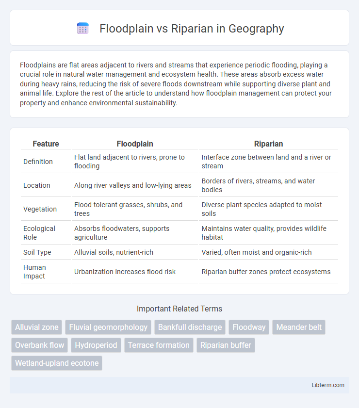 Riparian vs Floodplain in Geography - What is The Difference?