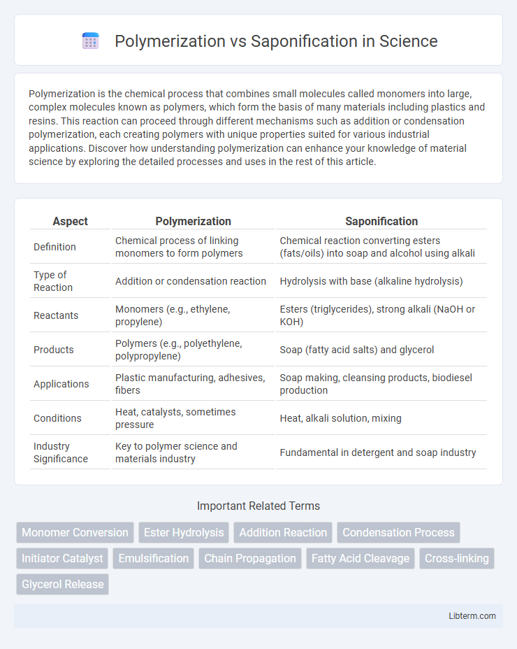 Saponification vs Polymerization in Science - What is The Difference?