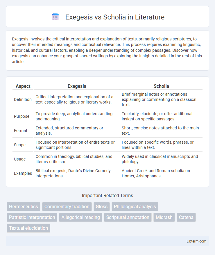Scholia vs Exegesis in Literature - What is The Difference?