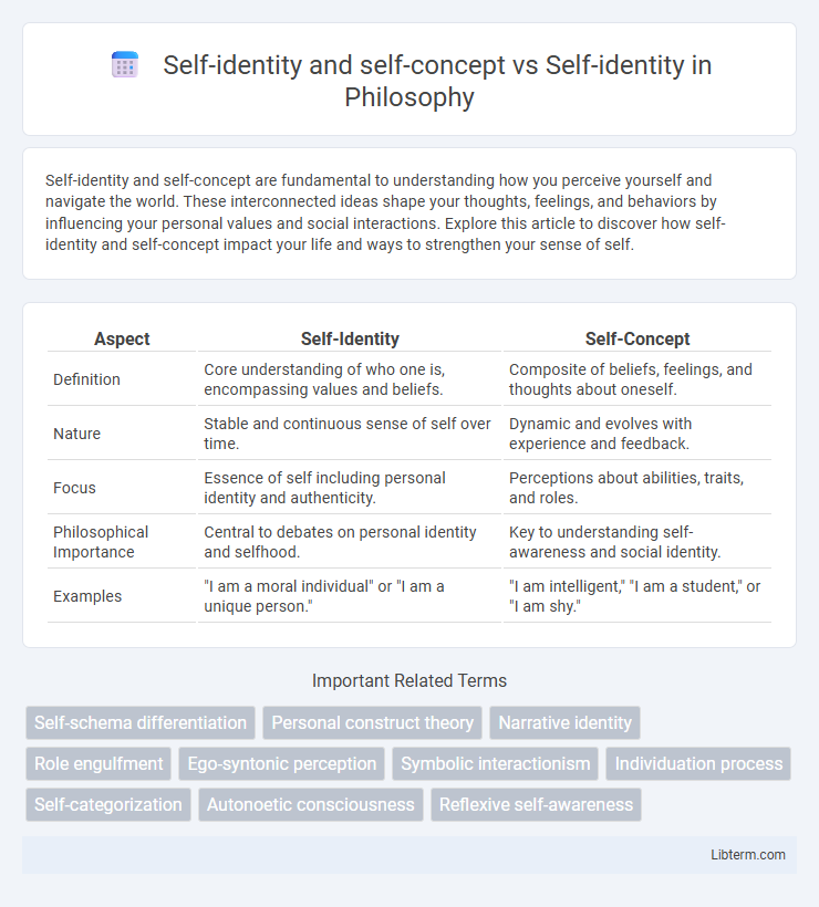 Self-identity vs Self-identity and self-concept in Philosophy - What is The Difference?