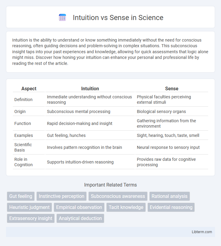 Sense vs Intuition in Science - What is The Difference?