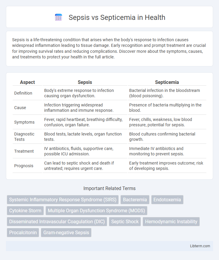 Septicemia vs Sepsis in Health - What is The Difference?