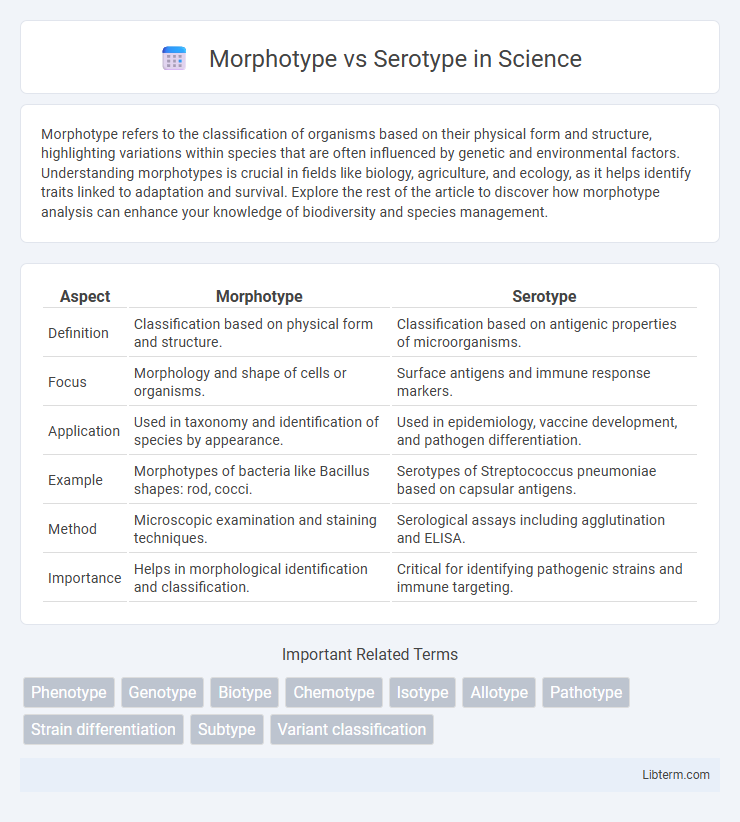 Serotype vs Morphotype in Science - What is The Difference?