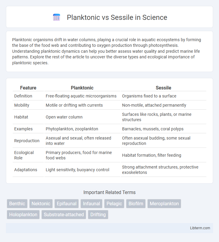 Sessile vs Planktonic in Science - What is The Difference?